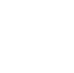 home-slider-navigation