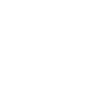 home-slider-navigation