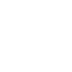 home-slider-navigation